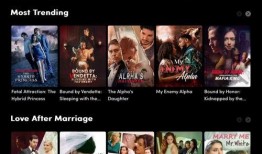 国产在线最新,创新驱动，引领行业发展新篇章