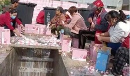 国产12p,引领科技潮流的创新之作