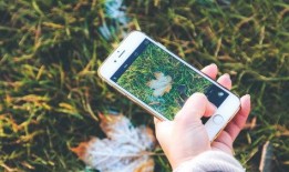 手机看片福利盒子永久国产免费,永久免费国产片库等你探索