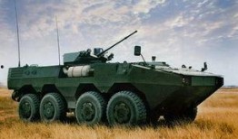 免费国产在线步兵区