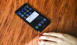 手机看片在线国产