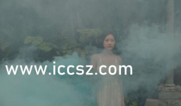 国产中文字幕不卡在线,国产中文字幕不卡在线解析