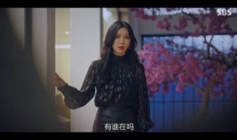 国产富姐调教,国产富姐的调教之路