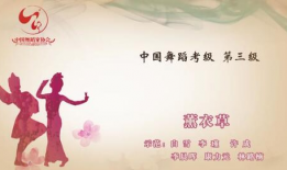 三级国产小视频,展现本土文化魅力，引领潮流风向标