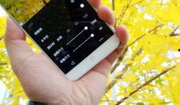 手机看片在线国产