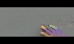 欲望岛国产,揭秘神秘岛屿的诱惑与秘密